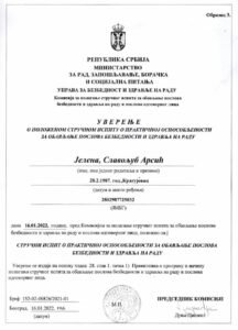 Јелена Арсић